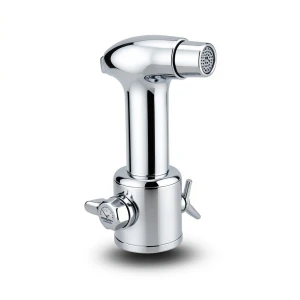 Bidet Sprayer with Mixer Valve - Chrome Finish