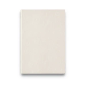 Plain Korean Wallpaper 15.6m×106cm Beige Color