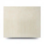 Italian Wall Decoration, Beige Color, Length 10 m, Width 0.73 m, Model 24084