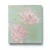 Italian Wall Decoration, Size 10m x 0.73m, Green with Pink, Model 24109