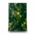 Italian Wall Decoration, Dark Green Color, Length 10 m, Width 0.73 m, Model 25042