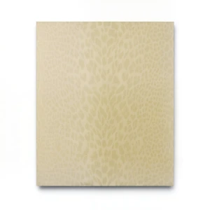 Italian Wall Covering Light Gold Color, Size 10m×0.70m, Model 12022