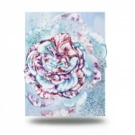 Italian Wall Covering Multi-colored, Length 10 m, Width 0.73 m, Model 25232