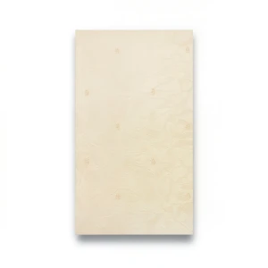 Italian Wall Covering Beige Color, 10m Length, 0.73m Width