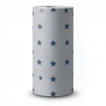 German wallpaper for youth and children, size 10 m x 0.53 m, gray color, model 247602 