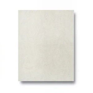 Italian Wallpaper 10m×1.06m Light Beige, Model 85041