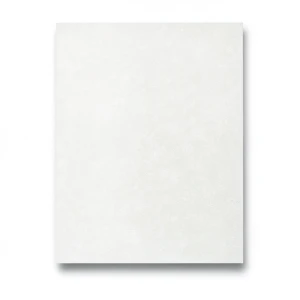 Italian Wallpaper 10m x 0.73m Off-White Color, Model 26055