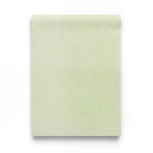 Youth and Children Wall Decoration Pale Green, 10m x 0.53m