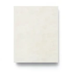 Italian Wallpaper 10m x 1.06m Light Beige, Model BM29037