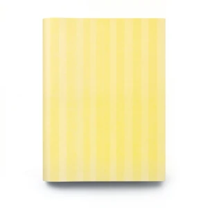 Youth and Children Wallpaper 10m×0.53m Yellow, Model 296211