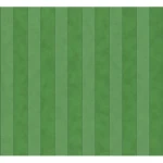 German Wall Covering, Green Color, Length 10 m, Width 0.73 m, Model 517736
