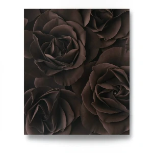 German Wall Decoration 10m x 0.53m Dark Brown, Model 525618