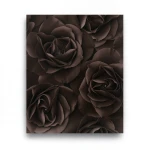 German Wall Decoration 10m x 0.53m Dark Brown, Model 525618