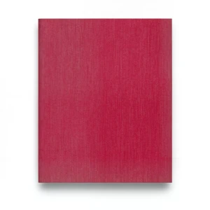Youth and Children Wallpaper 10m x 0.53m Red, Model 232790