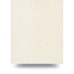German Patterned Wallpaper 10m x 0.53m Beige, Model 10291-05