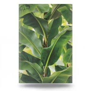 German Wallpaper Leaf-patterned Design Size 10m×0.53m, Green Color