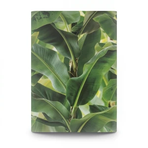 German Wallpaper Leaf-patterned Design Size 10m×0.53m, Green Color