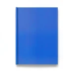 Youth and Children Wall Decoration 10m x 0.53m Blue