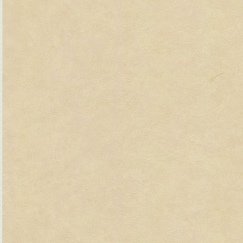 Italian Wallpaper 10m x 0.73m Light Beige, Model 26058