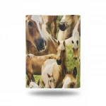 German wall Covering for youth and children, size 10 m x 0.53 m, multicolor, model 293104  