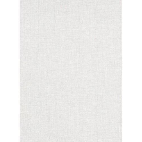 Plain Wallpaper Light Gray 10m x 0.53m Model 1021531
