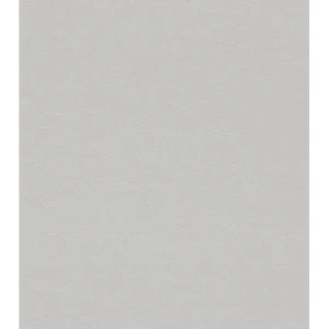 German Wallpaper 10m x 0.53m Gray Color, Model 474244
