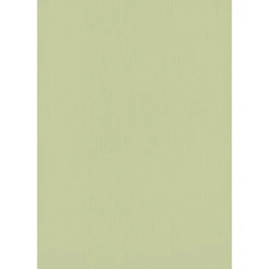 German Wall Covering Green Color Length 10 m Width 0.53 m Model 10080-07