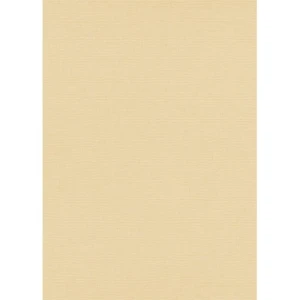 German Plain Wallpaper 10m x 0.53m Beige, Model 1026202