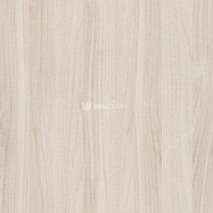 Youth and Children Wallpaper Light Brown, 10m x 0.53m, Model 246308