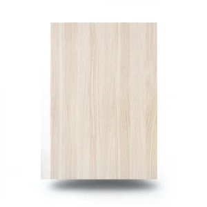 Youth and Children Wallpaper Light Brown, 10m x 0.53m, Model 246308