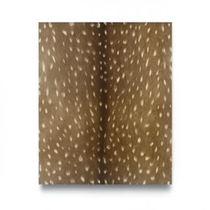 Patterned German Wallpaper 10m x 0.53m Brown, Model 514827