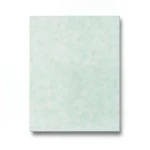 Italian Wall Decoration 10m x 0.73m Pale Green, Model 27078