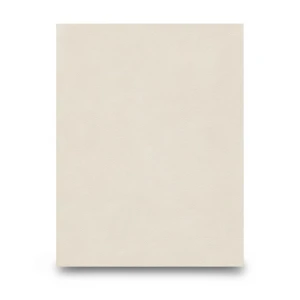 German Plain Wallpaper 10m x 0.53m Beige, Model 445824