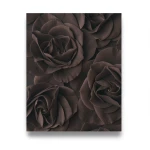 German Wall Decoration 10m x 0.53m Dark Brown, Model 525618