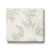 Italian Wallpaper 10m x 1.06m Light Beige Color, Model 81529 - Image 1