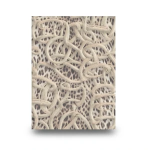 Italian Wallpaper Patterned Design Beige Color, Size 10mx0.70m, Model RC18015