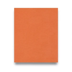 German Plain Wallpaper 10m x 0.53m Orange, Model 448573