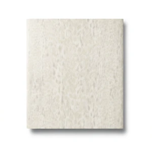 Italian Wall Decoration Patterned Design 10mx0.70m, Light Beige