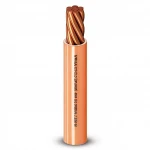 Alfanar 2.5 mm Wire 450/750volts, Stranded Copper Conductor, Heat Resistant PVC Insulation, 300 feet Length