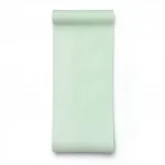 Dutch Plain Wallpaper Size 10m x 0.53m, Pale Green Color, Model 17300