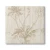 Italian Wall Covering 10m x 0.53m Beige Color, Model 21128 - Image 1