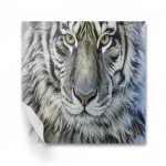 Custom Tiger Design Wallpaper - RB-E2 | Creative Leadership