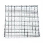 Galvanized Welded Wire Mesh | 5cm Square Openings | 10m x 1m