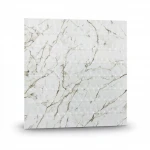 Arcada 3D Marble Veins Wall Panel