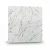 Arcada 3D Marble Veins Wall Panel