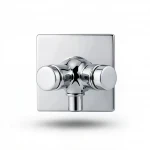 Square 2-Outlet Buried Bathroom Mixer