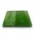 Premium Artificial Grass Turf