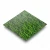 Green Grass Anti-Bacterial Vinyl Flooring