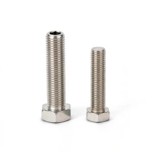SS304 Full Thread Hex Socket Cap Screws
