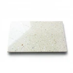 Polished Quartz Slabs for Flooring & Walls